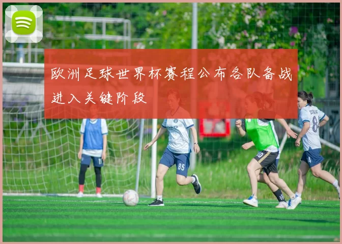 欧洲足球世界杯赛程公布各队备战进入关键阶段