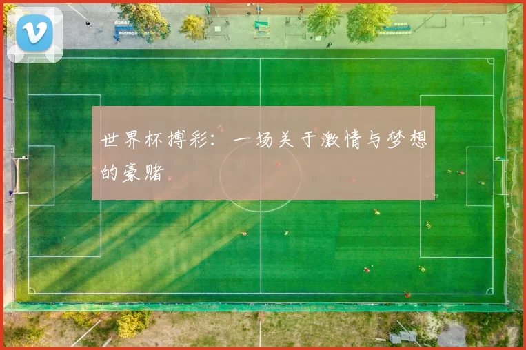 世界杯搏彩：一场关于激情与梦想的豪赌