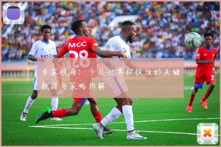专家视角：今日世界杯投注的关键数据与策略拆解