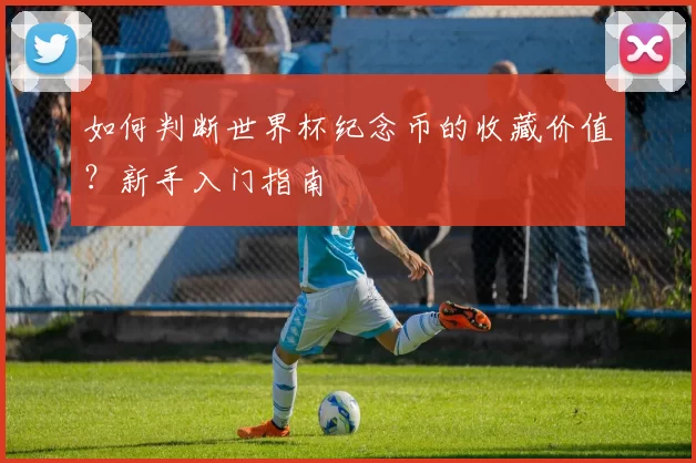 如何判断世界杯纪念币的收藏价值？新手入门指南