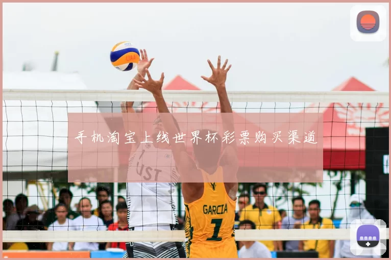手机淘宝上线世界杯彩票购买渠道