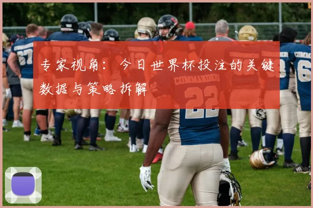 专家视角：今日世界杯投注的关键数据与策略拆解