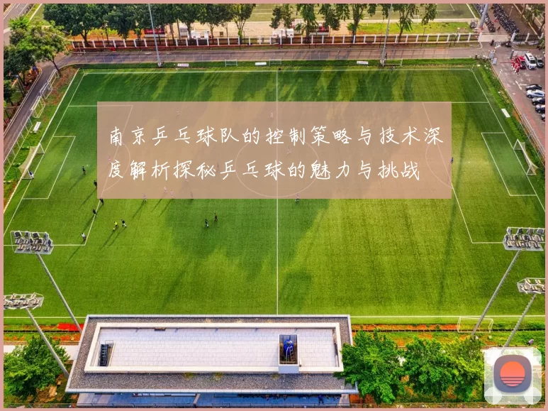 南京乒乓球队的控制策略与技术深度解析探秘乒乓球的魅力与挑战