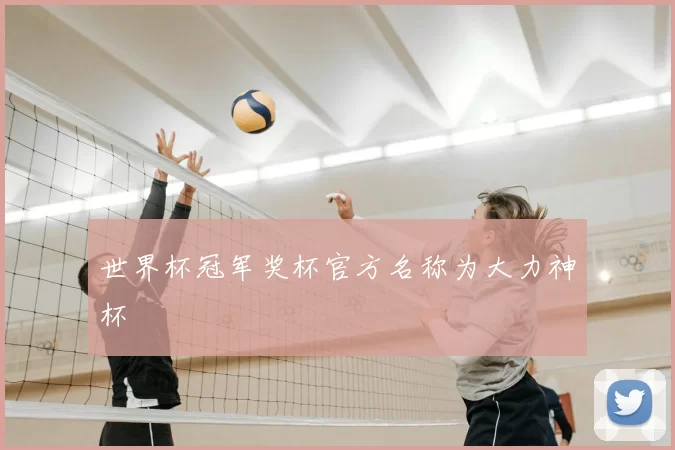世界杯冠军奖杯官方名称为大力神杯